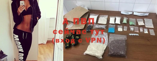 прущие грибы Заводоуковск