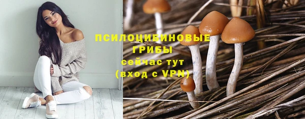 прущие грибы Заволжье