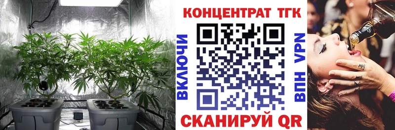 ТГК концентрат  мориарти официальный сайт  Мещовск 