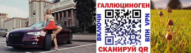 Галлюциногенные грибы Psilocybine cubensis  darknet Telegram  Мещовск  наркошоп 